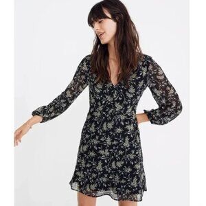 Madewell Marguerite Dress Floral Long‎ Sleeve
